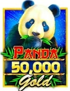 เล่นสล็อต PG เครดิต ฟรี ล่าสุดอย่างมืออาชีพ